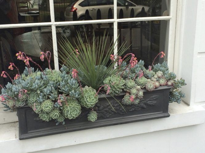 Outside the Window Box